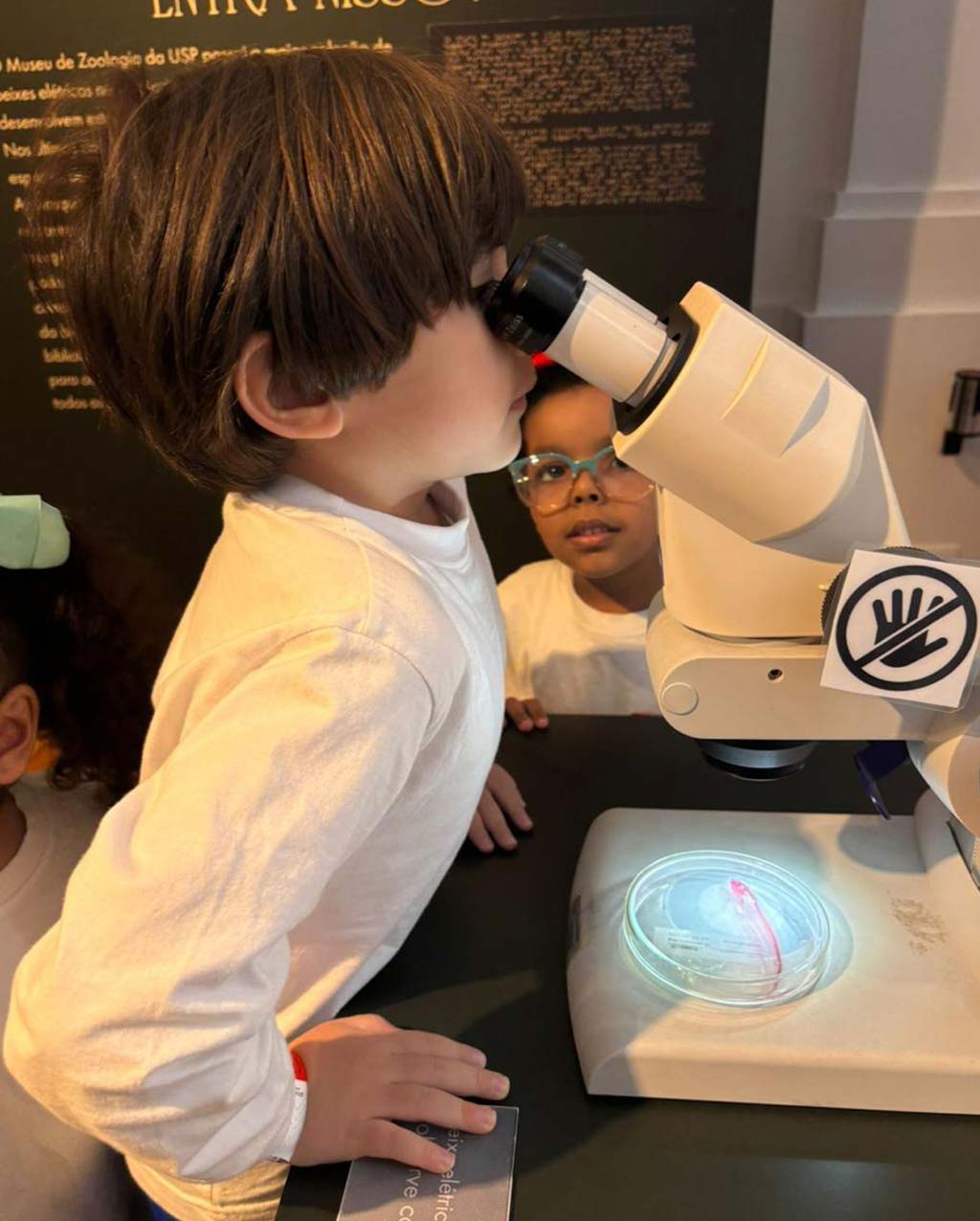 Curso de Férias Julho 2025