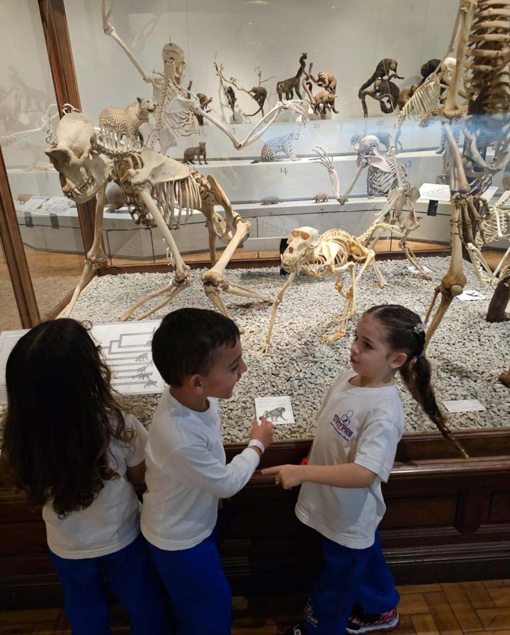 Curso de Férias Uniepre 2025