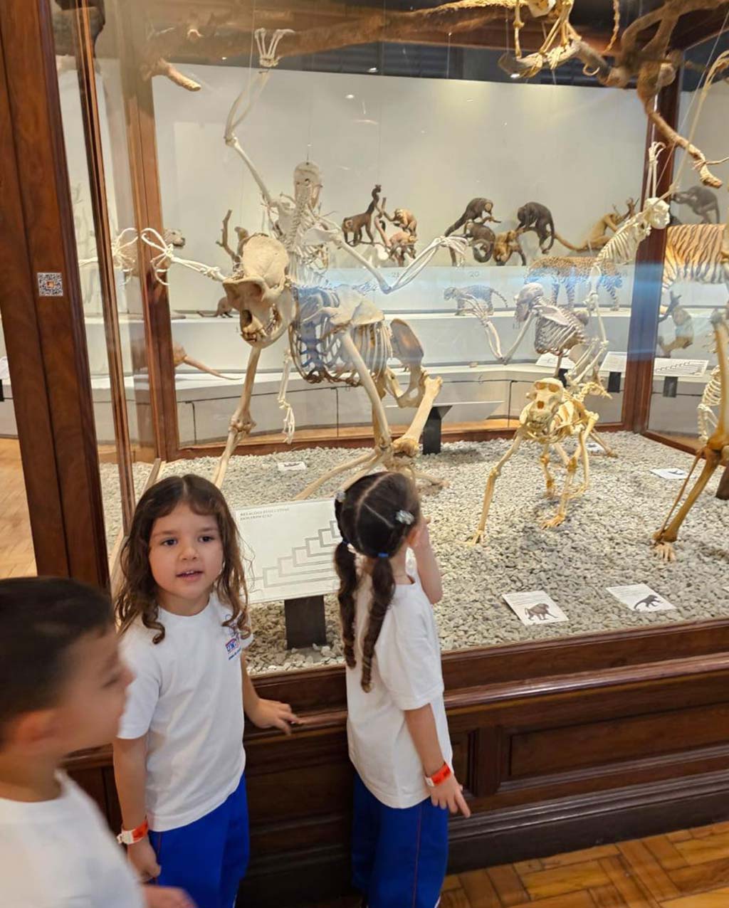 Curso de Férias Uniepre 2025