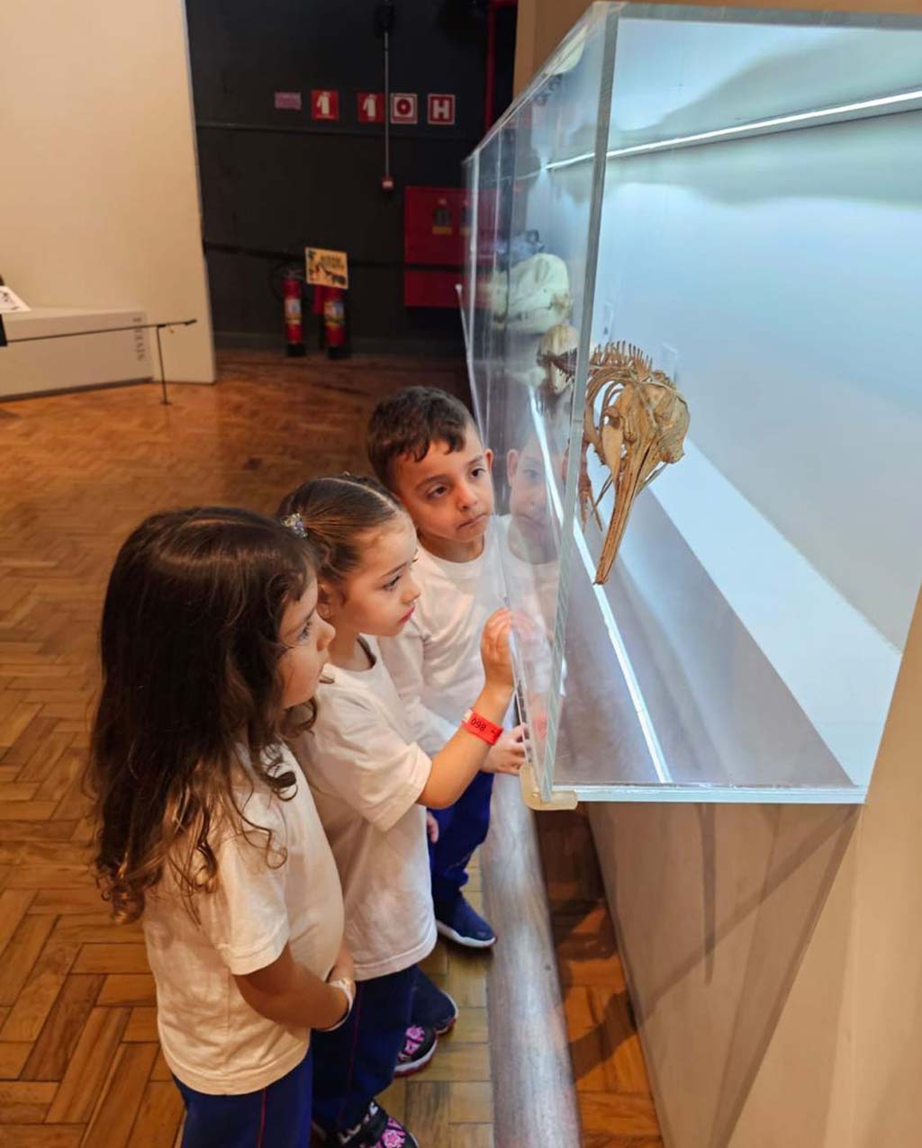 Curso de Férias Uniepre 2023